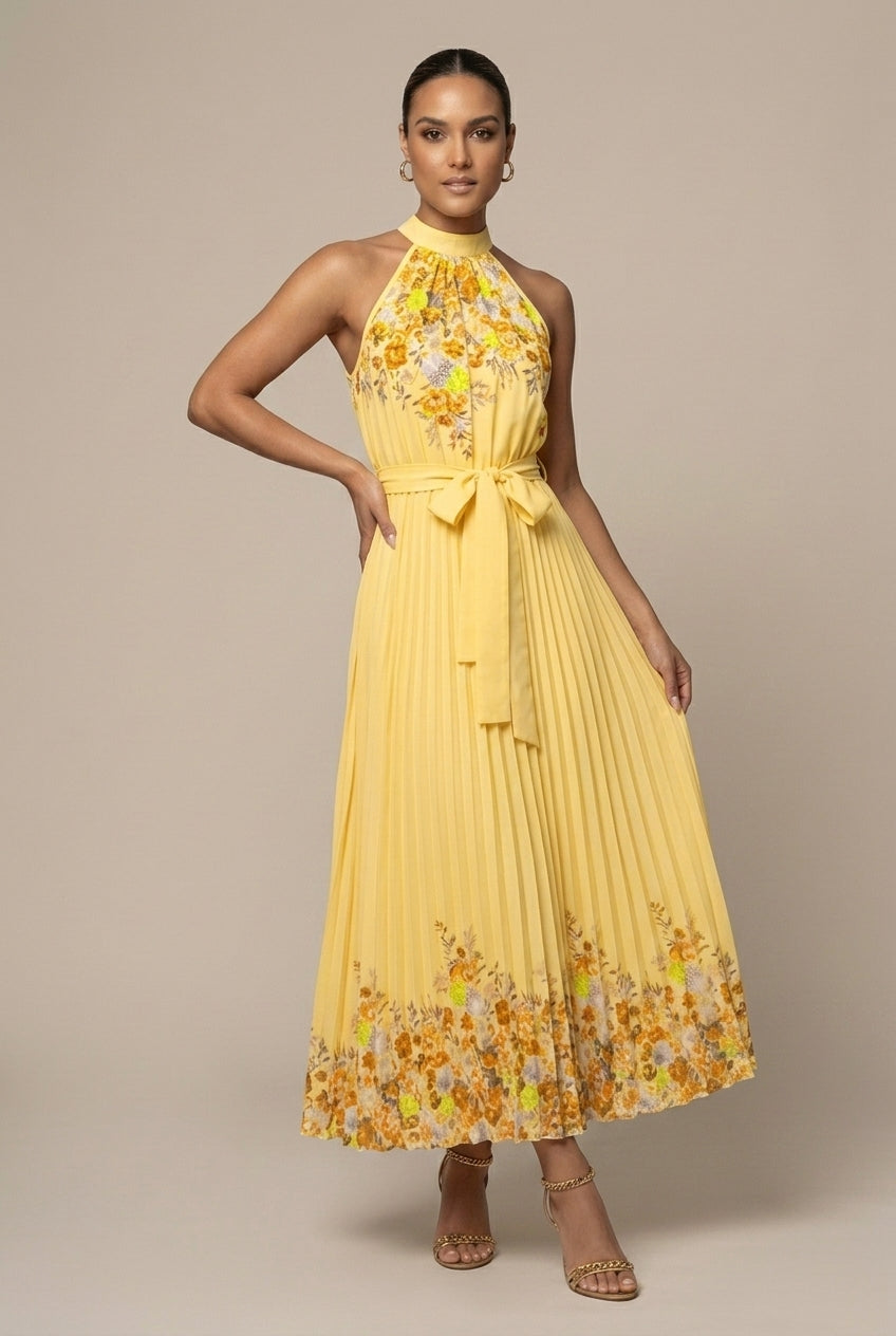 Women's Maxi Dress Floral Print Pleated Tie Waist Sleeveless